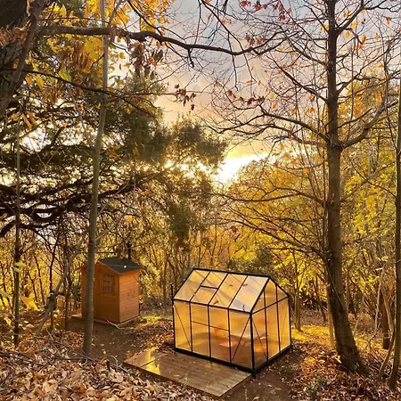 Skyroom Glamping Mare *