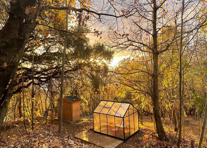 Skyroom Glamping Mare By Smart-home *